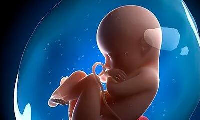 胚胎冷冻一个月多少钱解析，一千正不正常现场告知答案